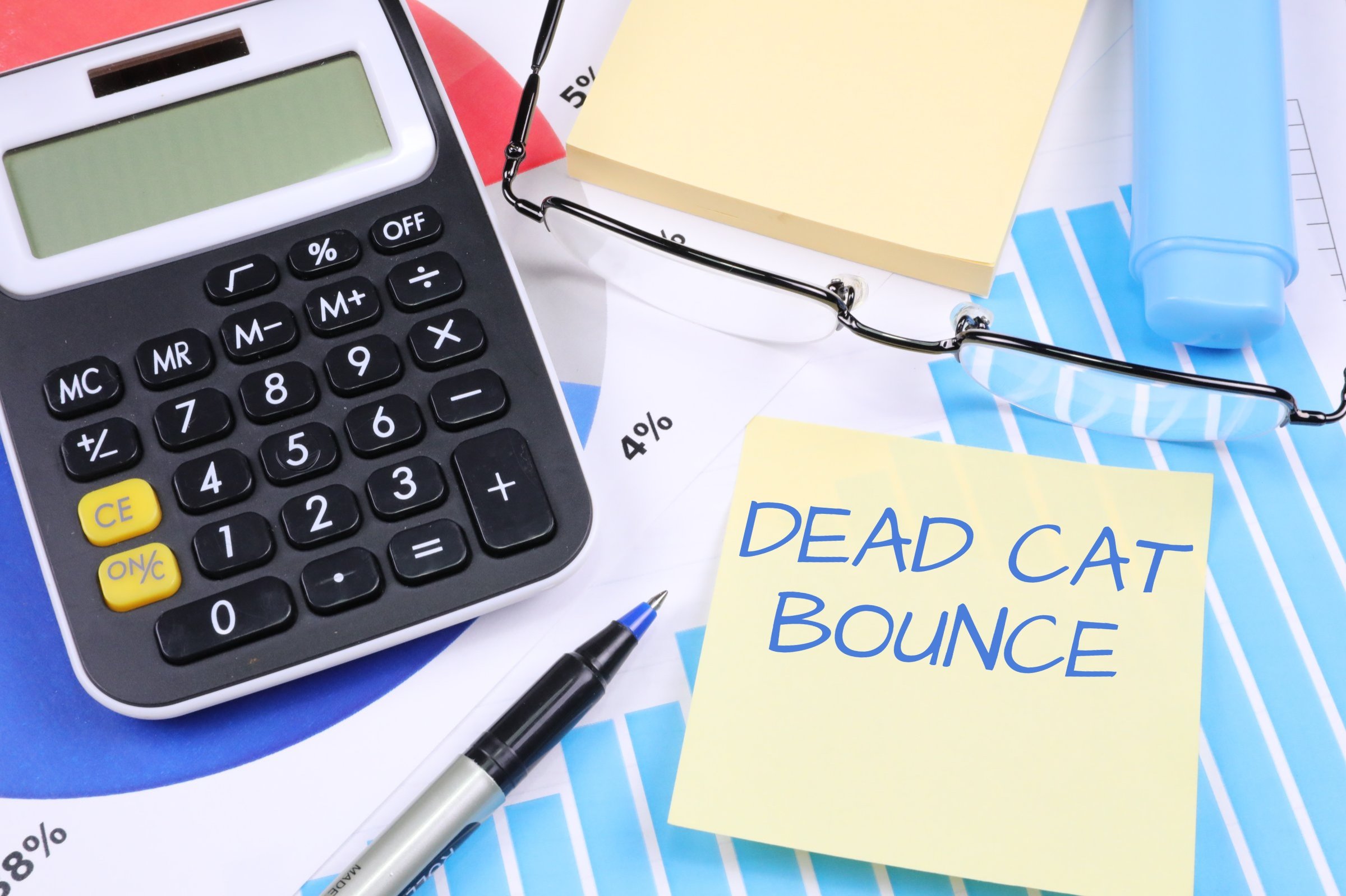 what is dead cat bounce
