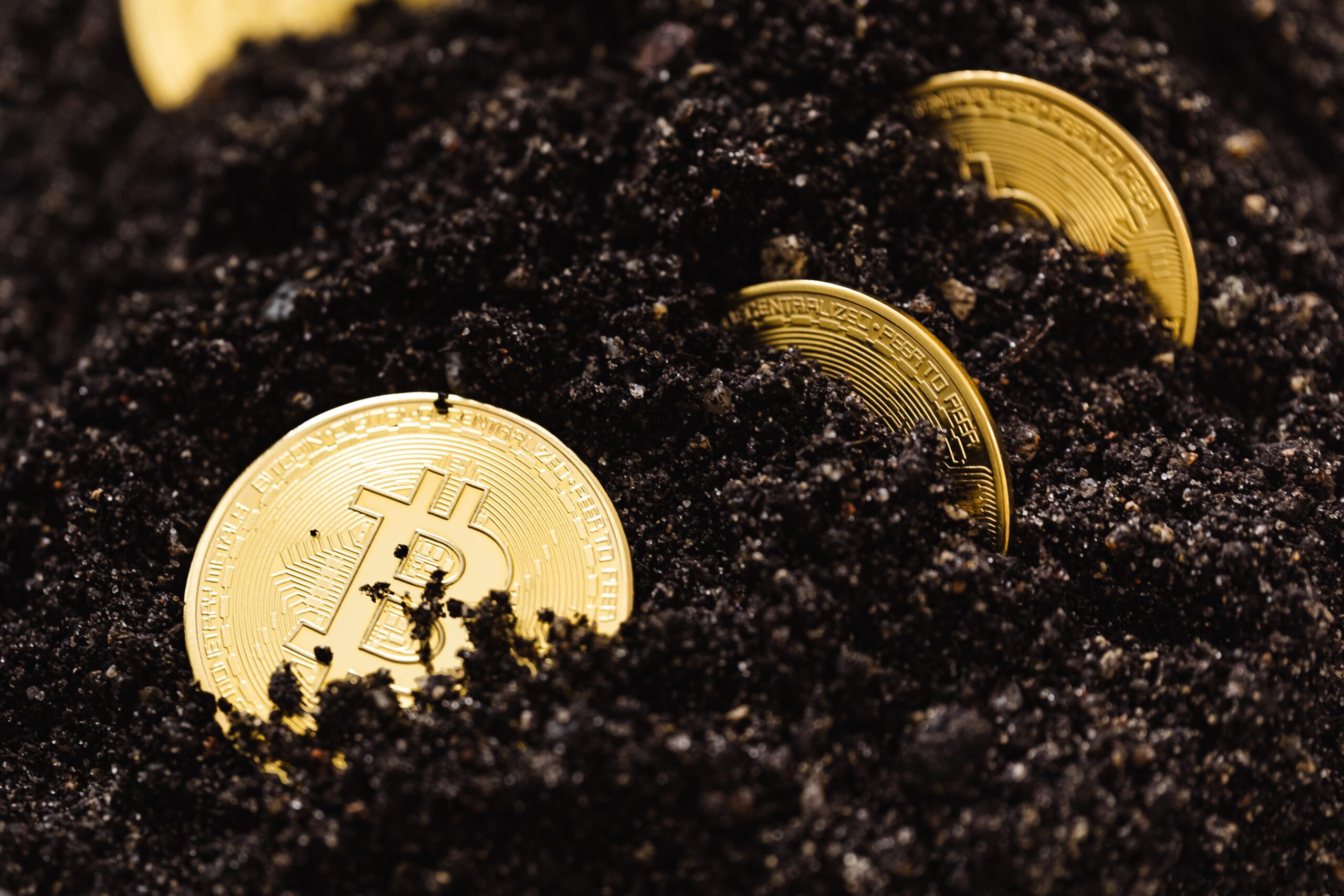 Paper Wallet for Сryptocurrencies: How to Use